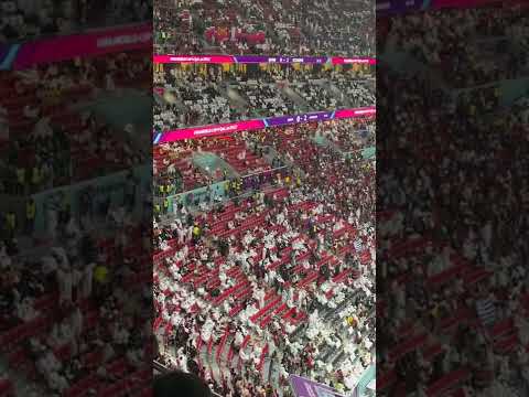 荷尔斯泰因,基尔主场惊,现大逆转,世界杯小组赛,2026世界杯,小组赛对阵,球队战术,赛事动态